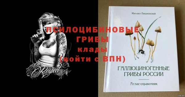 дживик Алзамай