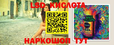 молекула духа Шелехов