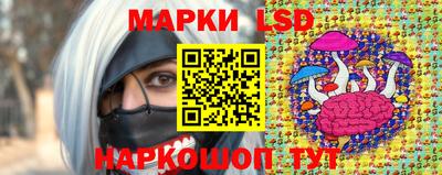 молекула духа Шелехов