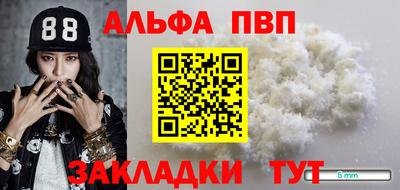 молекула духа Шелехов