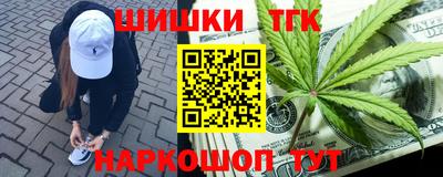 молекула духа Шелехов